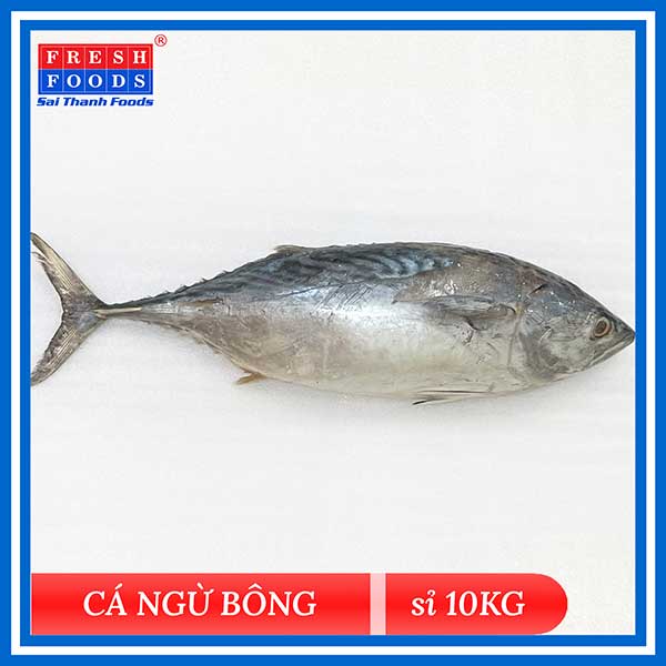 Cá Ngừ Bông (Kg)
