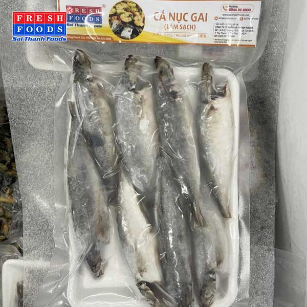 Cá Nục Gai
