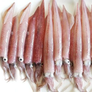 Mực Ghim Nguyên Con