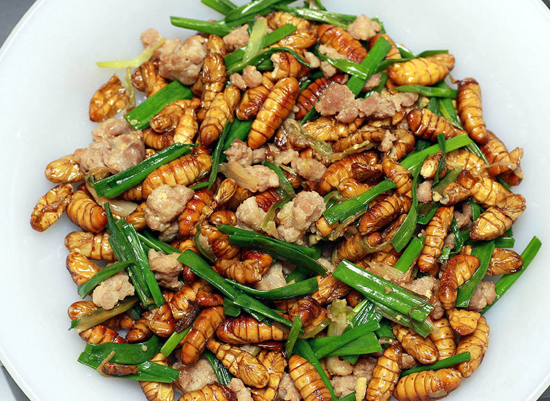 Gợi Ý Một Số Món Ngon Từ Nhộng Tằm Vàng