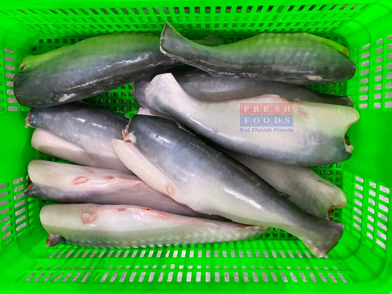 Cá basa làm sạch cung cấp bếp công nghiệp