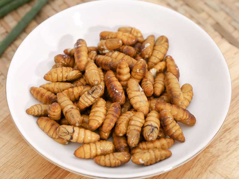 tác dụng của nhộng tằm