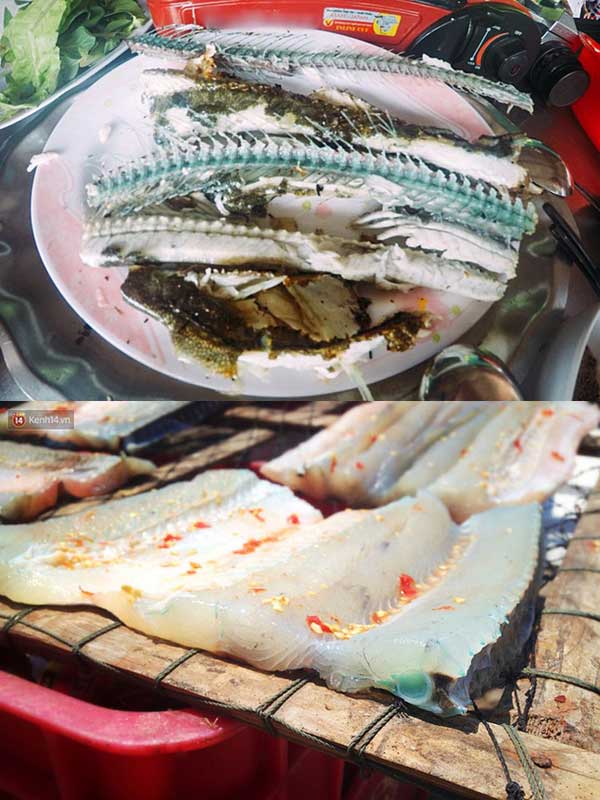 cá xương xanh có xương màu xanh