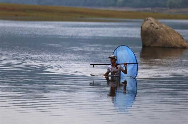 Đánh Bắt Tép Bò Như Thế Nào