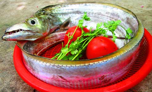 nguyên liệu nấu canh chua cá hố