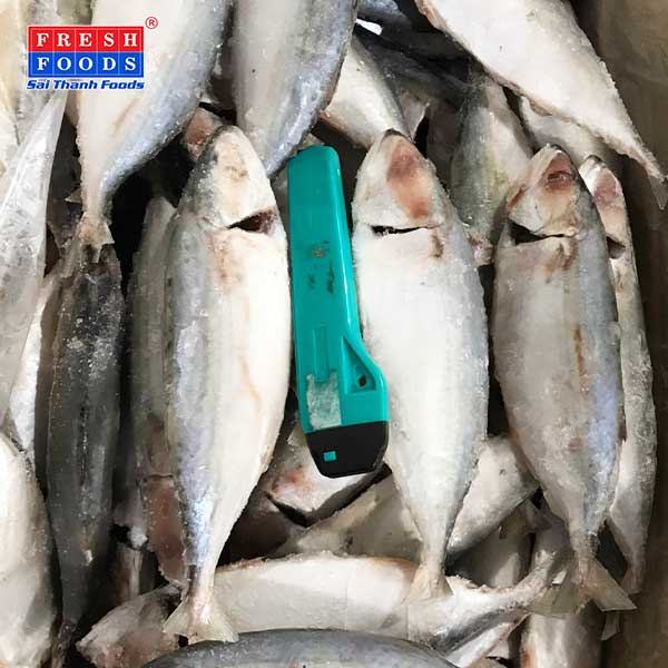 Cá bạc má bếp công nghiệp