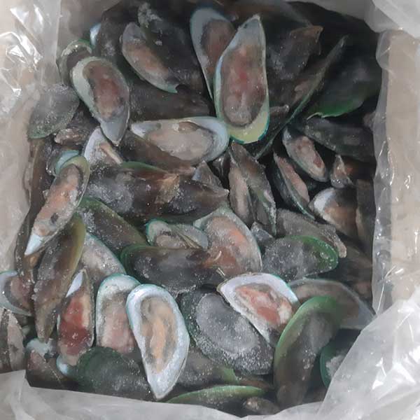 Vẹm Xanh Nửa Mảnh (kg) - Ảnh 2
