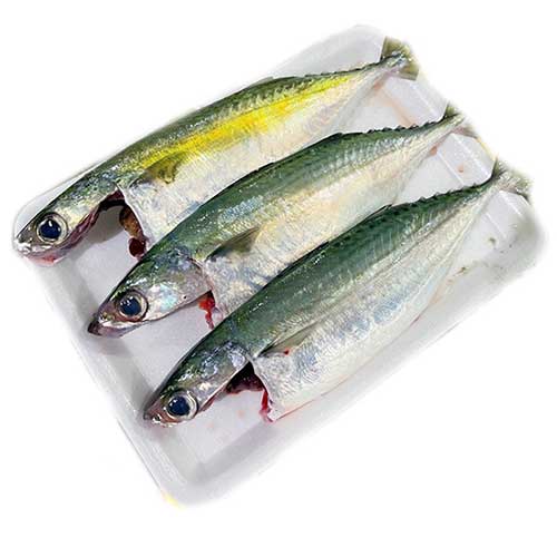 cá ngân bếp công nghiệp
