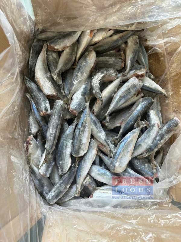 Cá nục làm sạch bếp ăn công nghiệp, thương mại