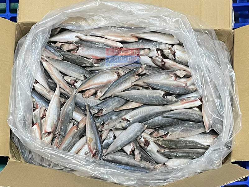 Cá nục làm sạch bếp ăn công nghiệp, thương mại