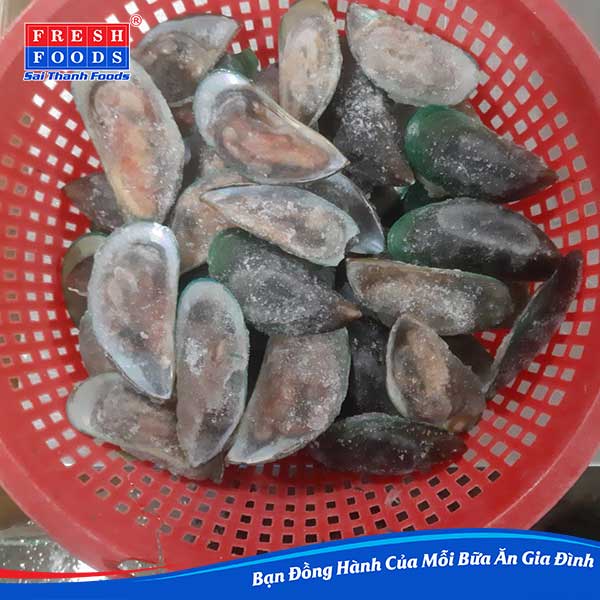 Vẹm Xanh Có Nguồn Gốc Sinh Trưởng Ở Đâu ?