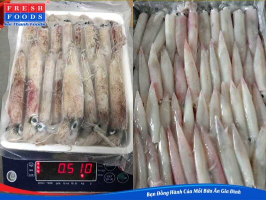 Mực đông lạnh giá sỉ