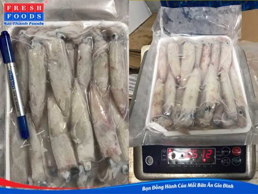 Mực đông lạnh giá sỉ