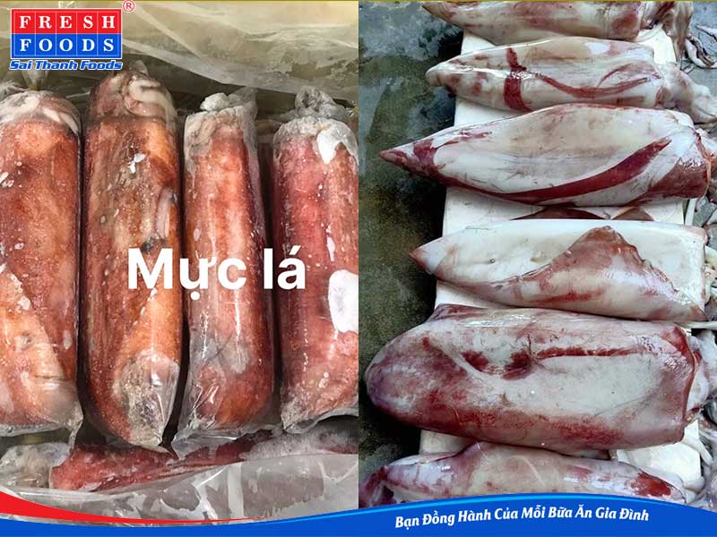 mực đông lạnh giá sỉ 