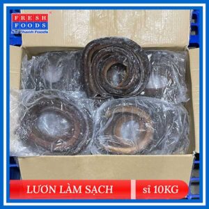 Lươn Cắt Đầu Làm Sạch (Thùng 10Kg)