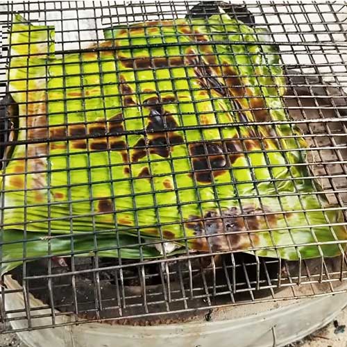 Chế Biến Cá Hố Nướng Lá Chuối