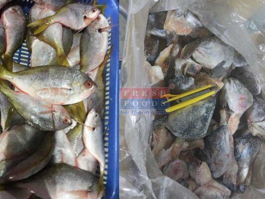 Cung cấp hải sản nấu bếp ăn công nghiệp