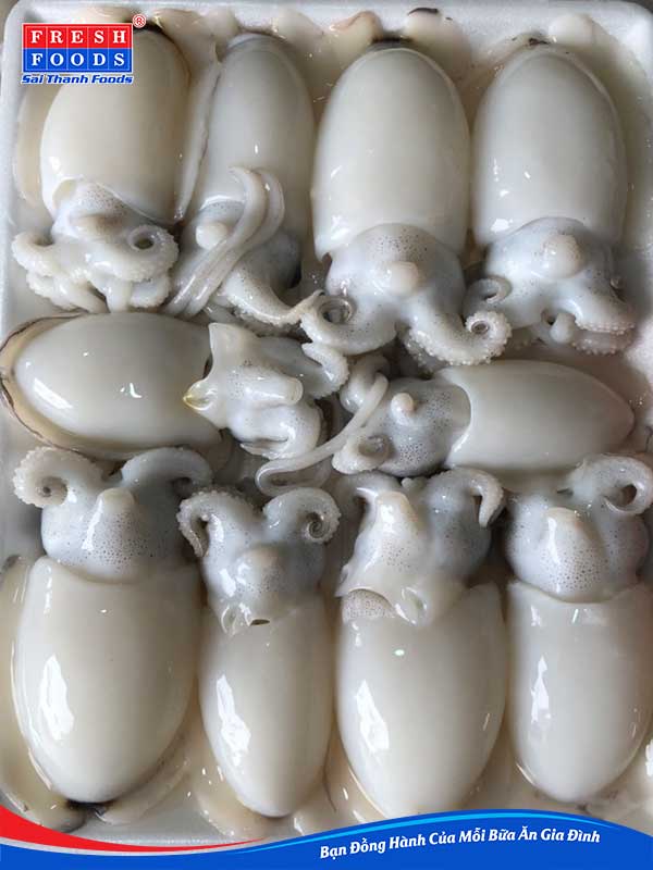 Mực Nút (Khay 500g)