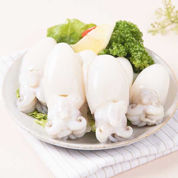 Đặc Điểm Của Mực Nút