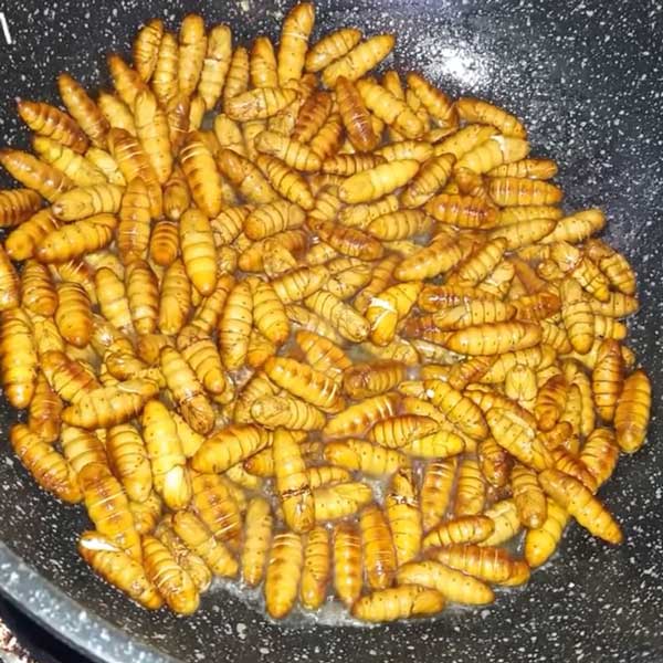 món ngon từ nhộng tằm