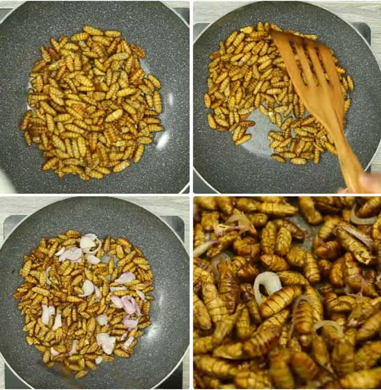 Món Ngon Từ Nhộng Tằm - Chế Biến Nhộng Xào Hành
