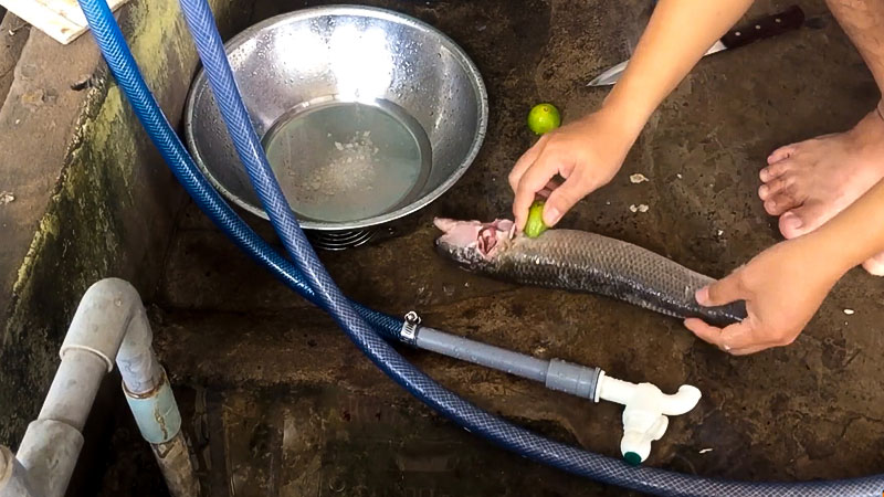 nước cốt chanh làm sạch nhớt cá lóc