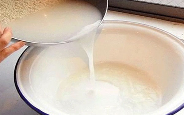 nước vo gạo làm sạch nhớt cá lóc