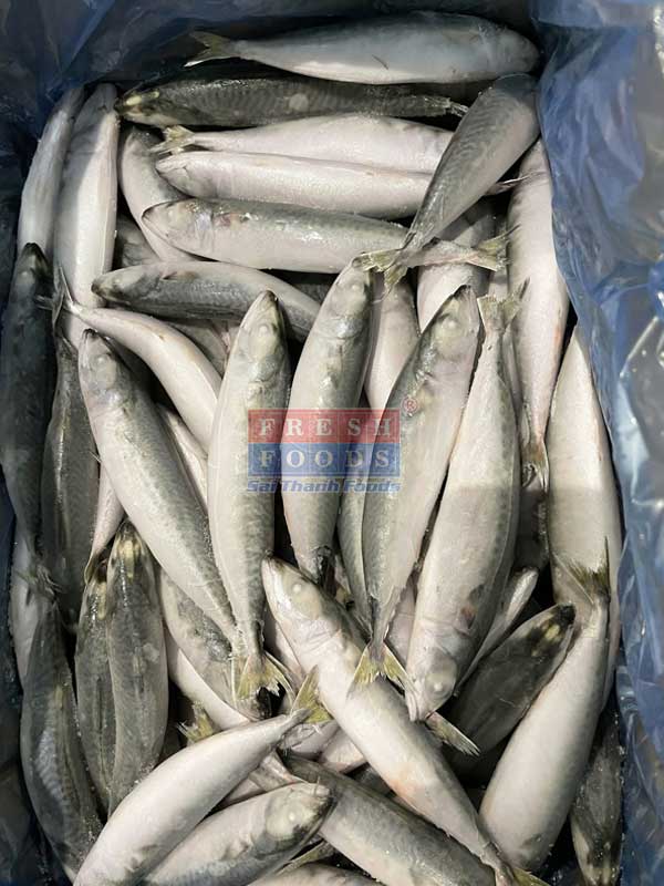 Cá nục bông saba bếp ăn công nghiệp