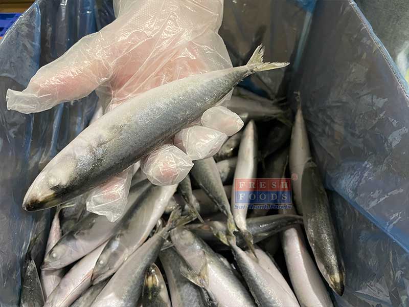Cá nục bông saba bếp ăn công nghiệp