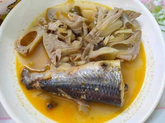 Cá chuồn kho mít non