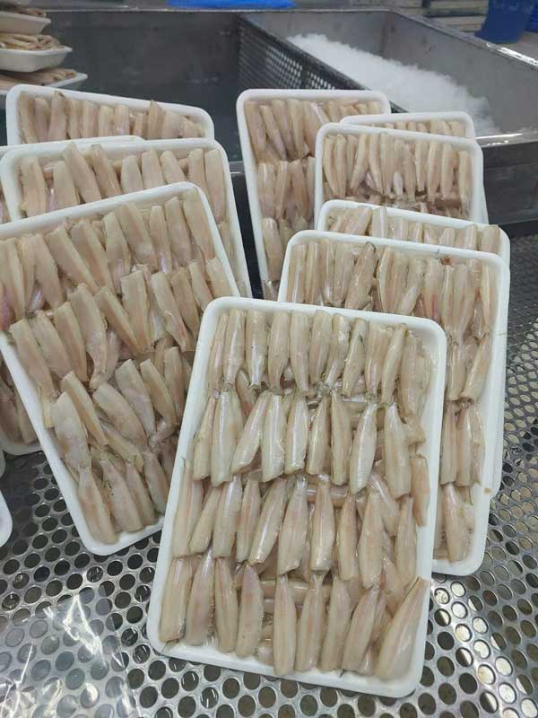 Cá cơm trắng cho bếp công nghiệp